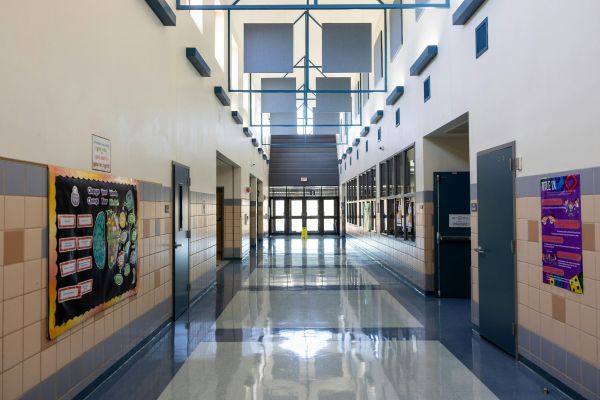 top LMS platforms for schools
