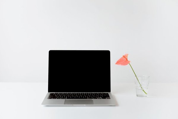 chromebook vs laptop